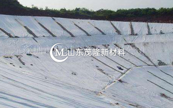 《東平湖生態(tài)防護林建設(shè)項目》復合土工膜施工