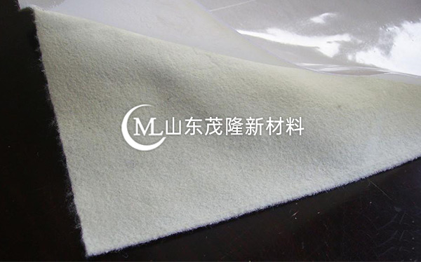 復(fù)合土工膜 第2張