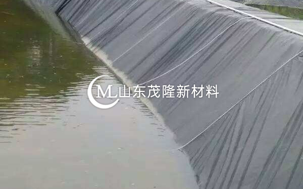 魚(yú)塘防滲膜 第2張