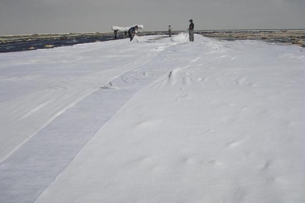 經(jīng)編復(fù)合增強(qiáng)土工布的優(yōu)勢(shì)大揭秘，必看！  第1張