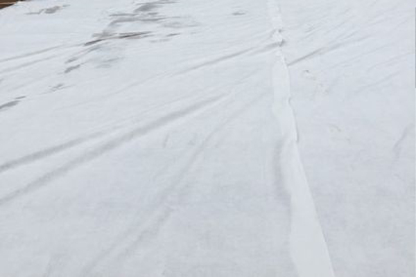 重點關(guān)注無紡?fù)凉げ既绾握_清洗，保持使用壽命！  第2張