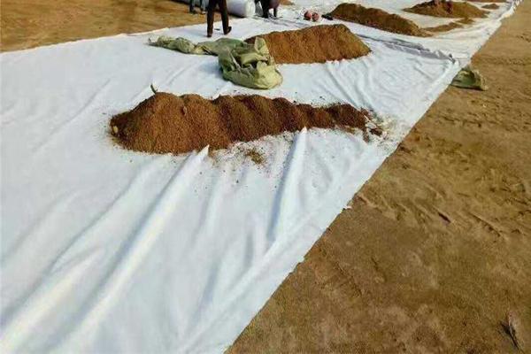 護(hù)坡養(yǎng)護(hù)土工布：特點(diǎn)解析  第2張