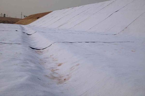 如何在土工布施工中實現(xiàn)環(huán)保與效益的雙重平衡 第1張