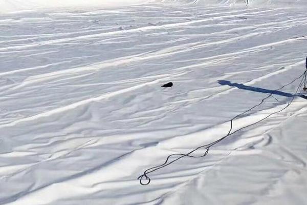 土工布能否抵御日曬對其產(chǎn)生的影響？  第1張