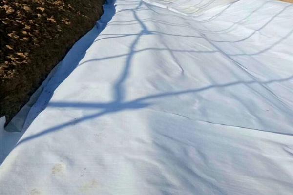 土工布的防燃性能如何？  第2張