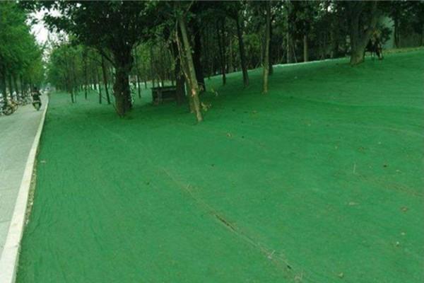 土工布能不能阻擋植物根系呢？  第3張