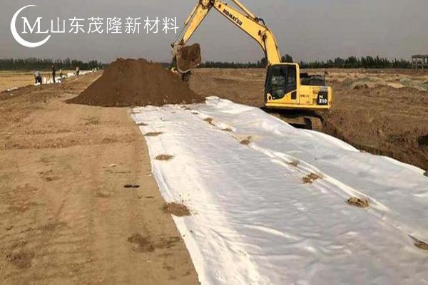 高強(qiáng)加筋土工布圖片  第11張