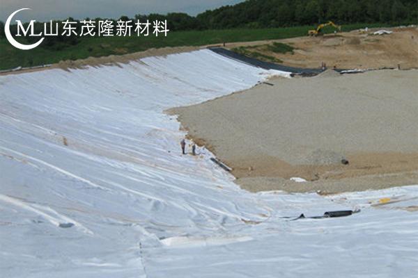 高強(qiáng)加筋土工布圖片  第10張