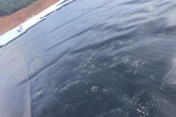 土工膜和土工布的區(qū)別有哪些呢？  第1張