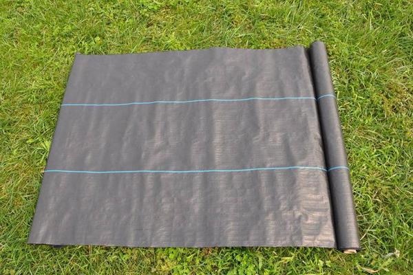 防草布怎么開孔的  第2張