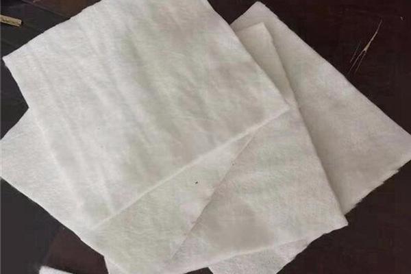 滌綸長絲土工布能防鼠咬嗎? 第3張