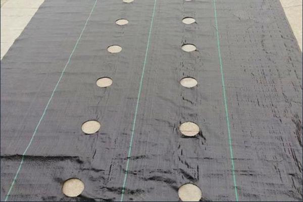 打孔防草布使用注意事項(xiàng)  第3張