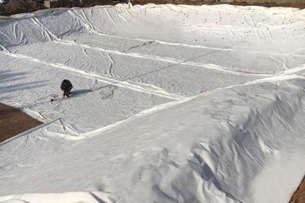 聚丙烯土工布和聚酯土工布區(qū)別是什么呢  第2張